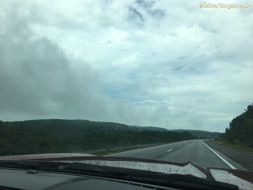 13698246_10207393699144750_2015849376885445379_o