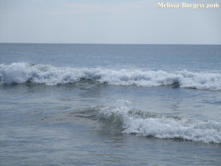 13731965_10207393248893494_8160446469122594988_o